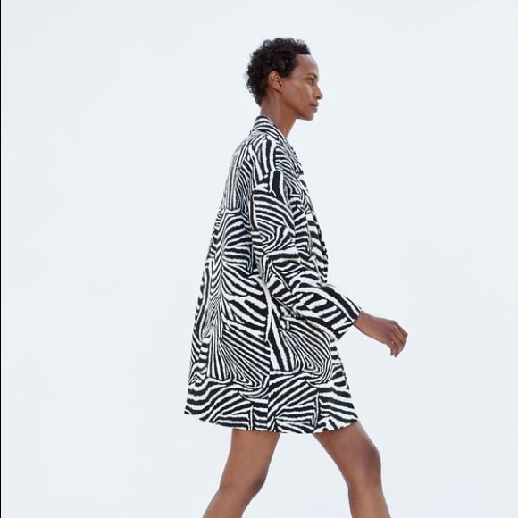 zebra jacket zara